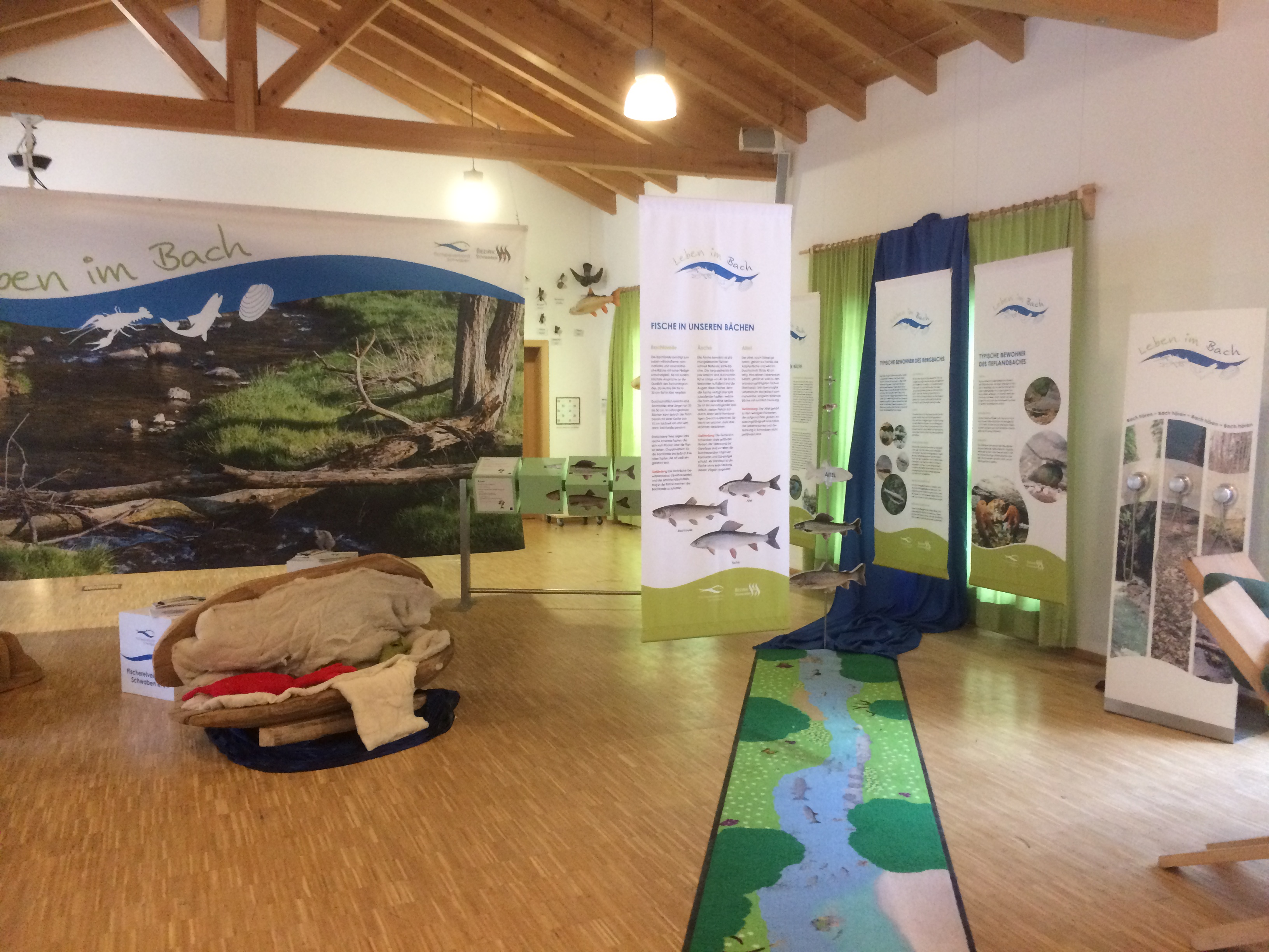 Blick in die Ausstellung Leben im Bach im Walderlebniszentrum Ziegelwies in Füssen