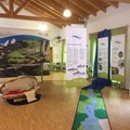 Blick in die Ausstellung "Leben im Bach" im Walderlebniszentrum Ziegelwies in Füssen