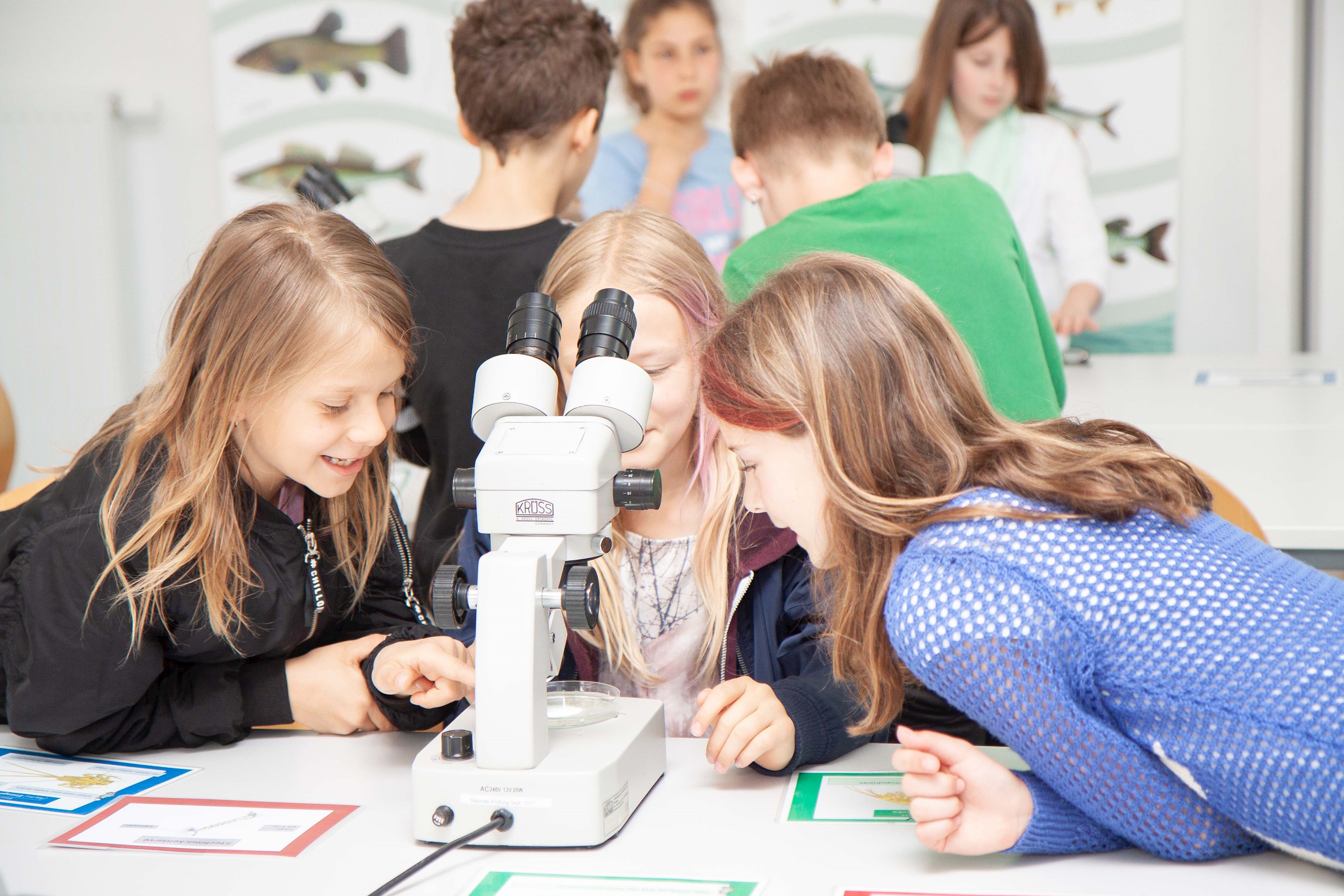 Drei Mädchen betrachten gemeinsam eine Glasschale, die unter einem Mikroskop liegt.