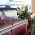 Aus Buchseiten werden in den Wertachtal-Werkstätten zarte Papierblumen gestaltet.