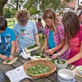 Kinderfest - Kräutersalz  herstellen