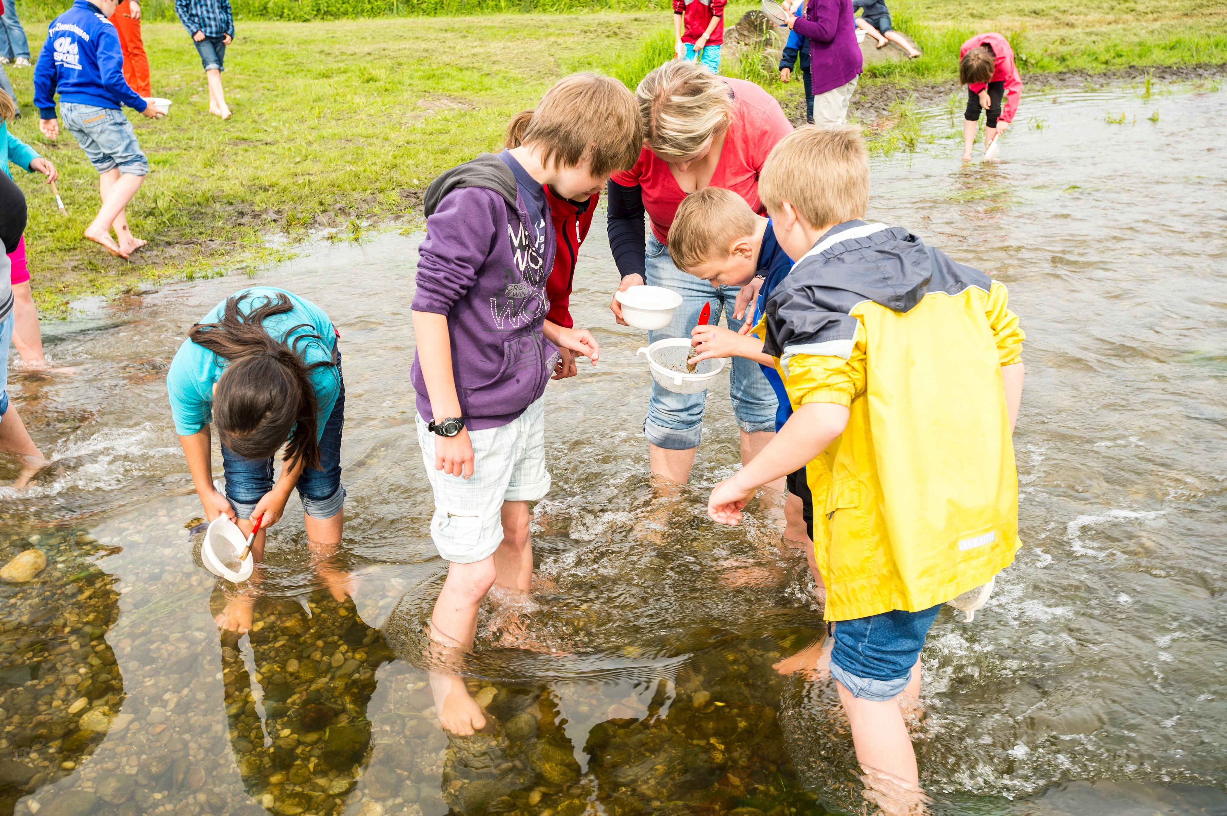 Im Bach fangen Kinder mit Keschern kleine Wasserlebewesen, die sie später unter dem Mikroskop untersuchen.