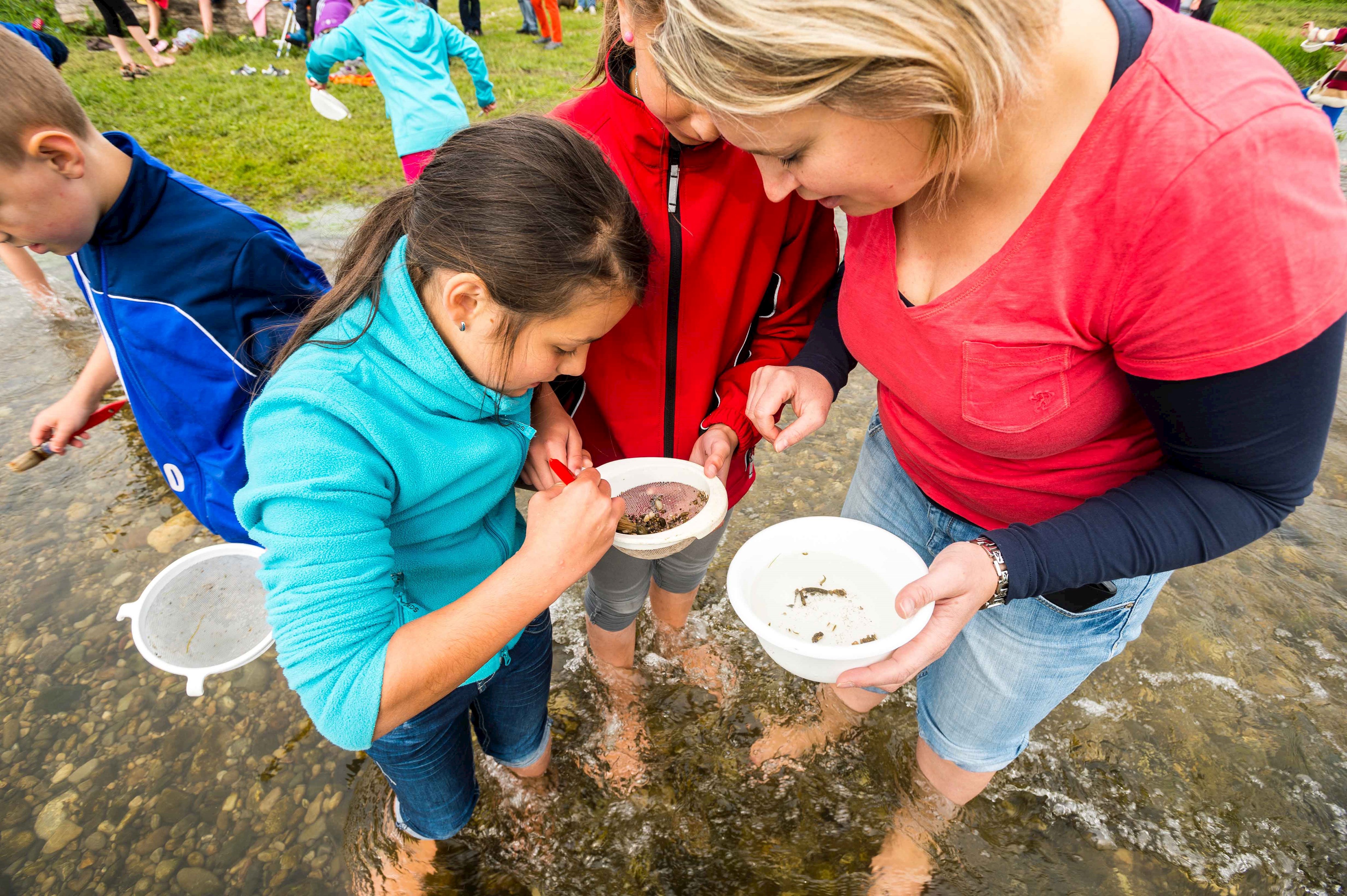 Im Bach fangen Kinder mit Keschern kleine Wasserlebewesen, die sie später unter dem Mikroskop untersuchen. (2)