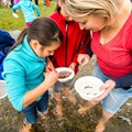 Im Bach fangen Kinder mit Keschern kleine Wasserlebewesen, die sie später unter dem Mikroskop untersuchen. (2)