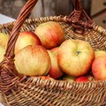 Am Obsttag dreht sich im Bauernhofmuseum alles um bekannte und weniger bekannte Obst- und Gemüsesorten.