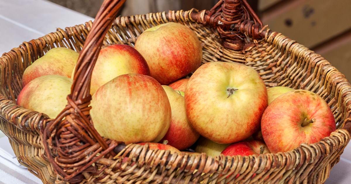 Rund ums Obst – Sortenvielfalt im Bauernhofmuseum Illerbeuren