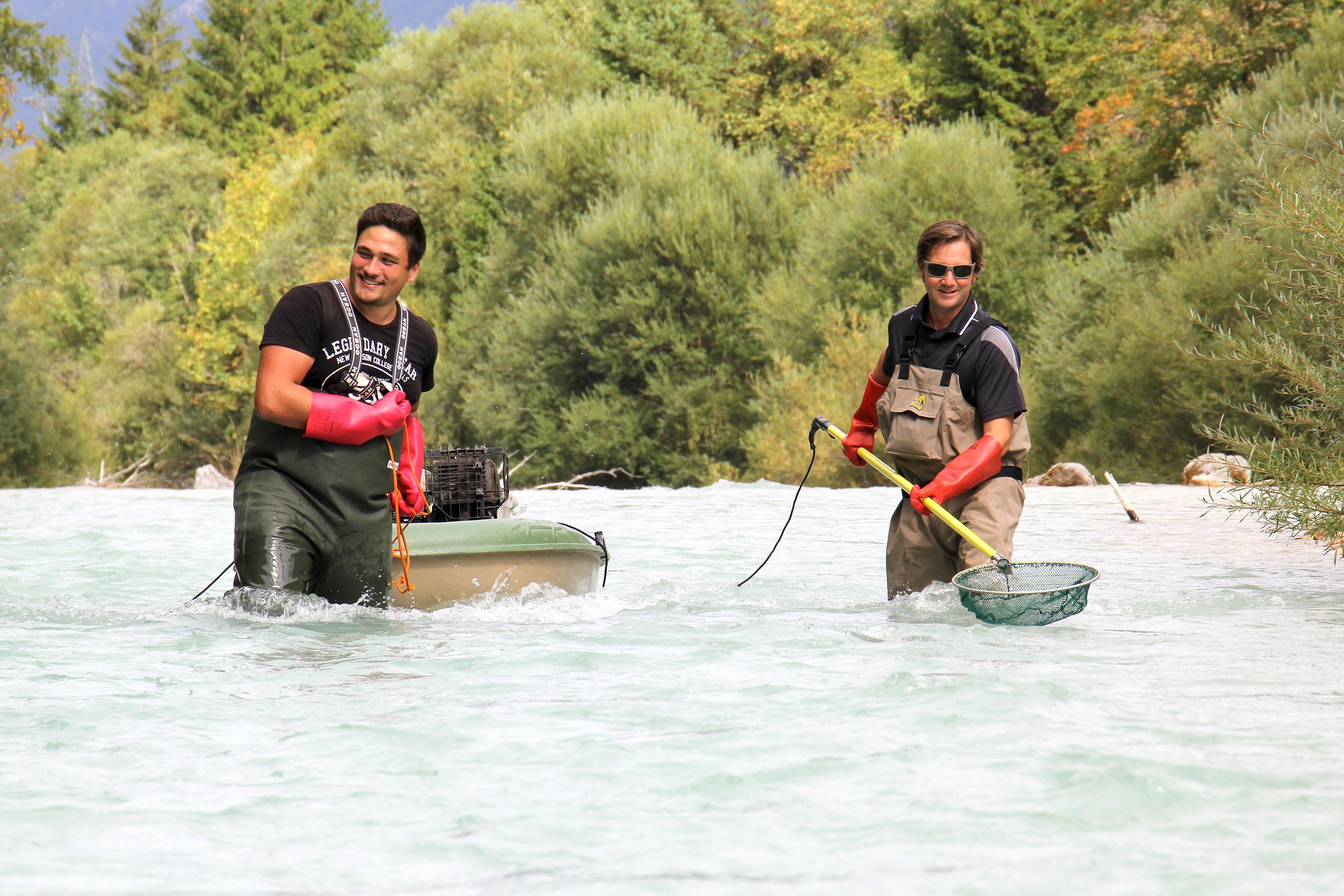 Schwäbische Fischexperten sind  weiter für die Wasserrahmenrichtlinie im Einsatz 