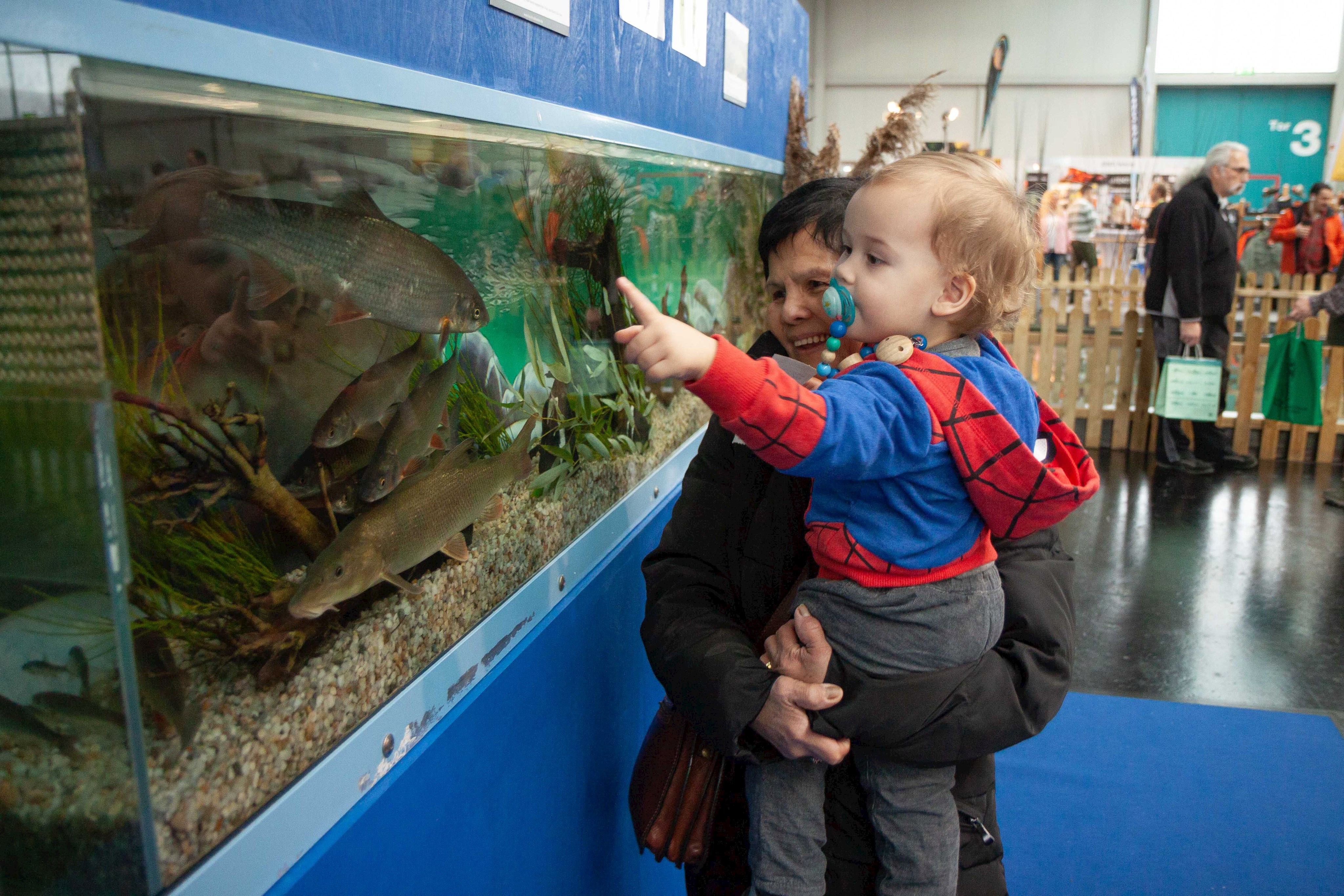 Gewässer gesund, Fische gesund: Fischereifachberatung gibt bei der Messe Jagen und Fischen Einblicke in die schwäbische Unterwasserwelt und in ihre Arbeit