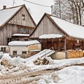 Die historische Sägemühle aus Hettisried soll als Gesamtbauwerk nach Illerbeuren versetzt werden.