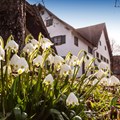 Das Schwäbische Bauernhofmuseum Illerbeuren startet zum 1. März 2019 ins neue Museumsjahr.