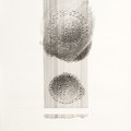 Incubator, Udo Rutschmann, 42x59, Tuschfeder, Schreibmaschine, 2014