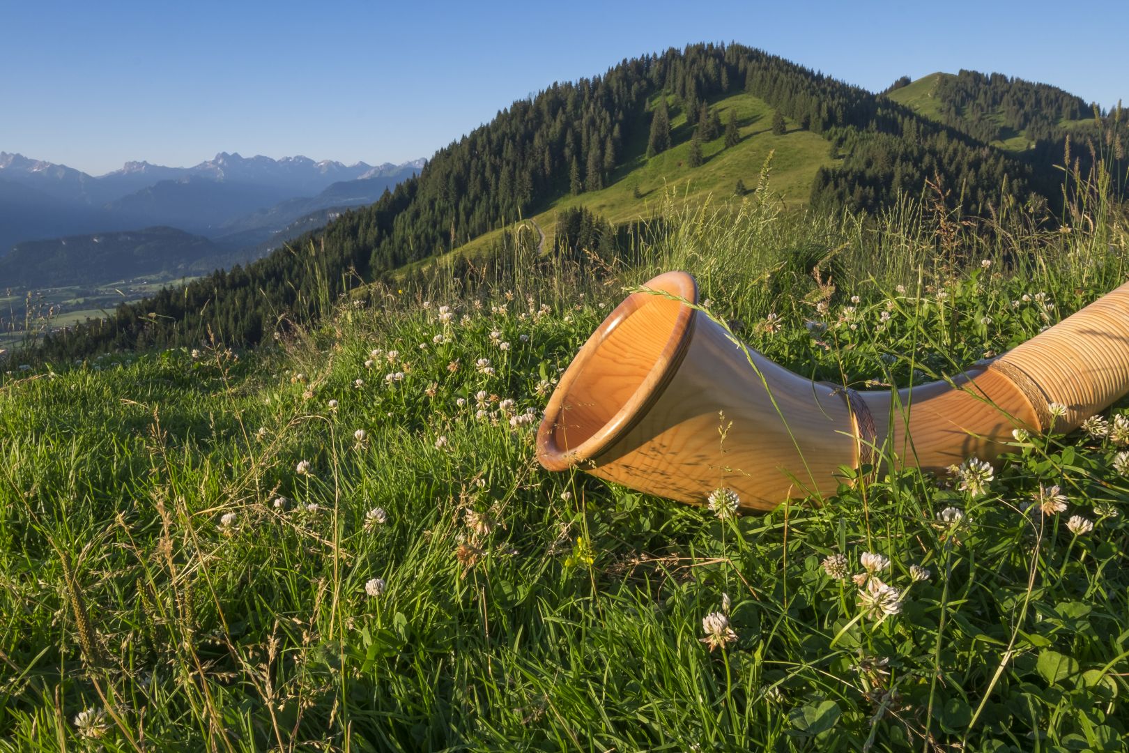 Alphorn