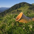 Alphorn