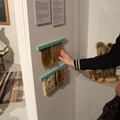 Museumspädagogische Fühlstation mit Varianten von Teddyfell