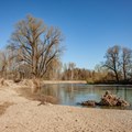 Mit Wurzelstöcken und anderen Strukturmaßnahmen wurde der Flussabschnitt der Oberen Iller renaturiert.