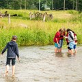 Bei der Bachsafari fangen Kinder mit Keschern kleine Wasserlebewesen, die sie später unter dem Mikroskop untersuchen. Bei der Bachsafari fangen Kinder mit Keschern kleine Wasserlebewesen, die sie später unter dem Mikroskop untersuchen.
