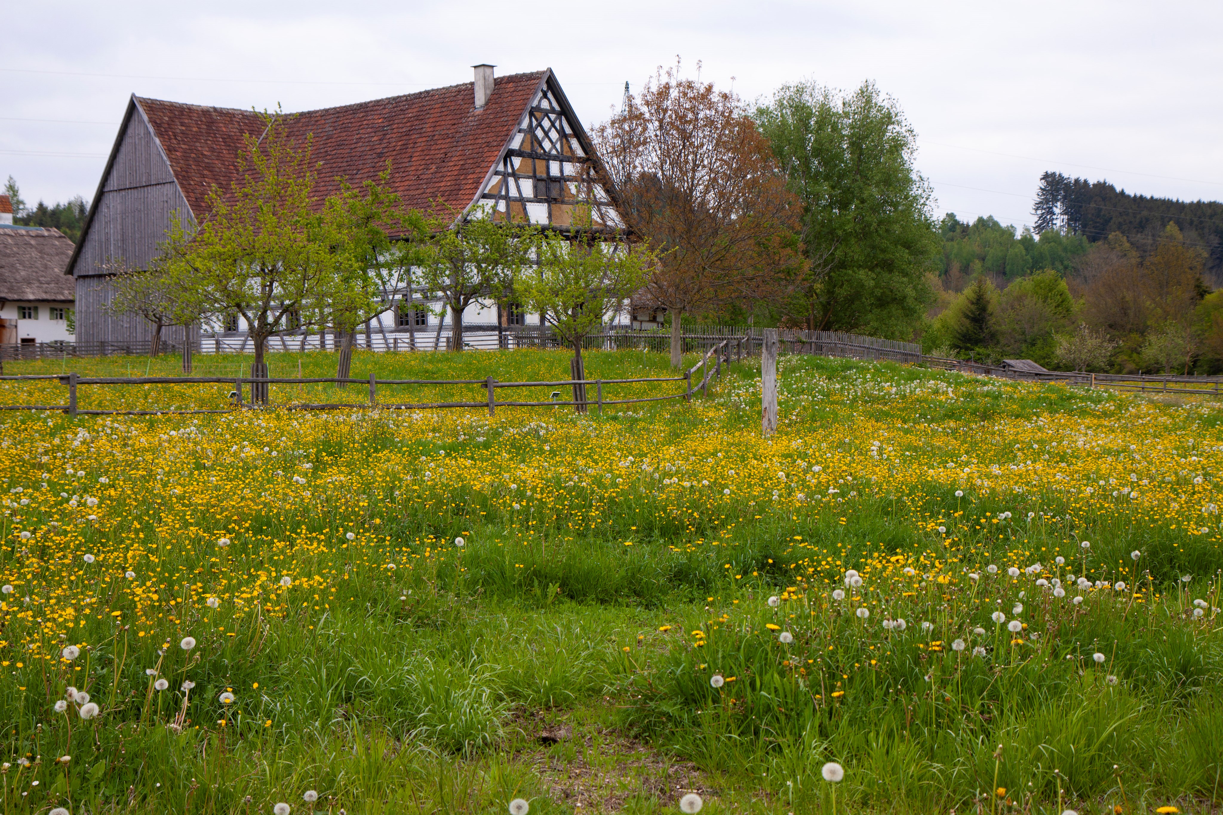 Bezirksinformationsfahrt Schwäbisches Bauernhofmuseum Illerbeuren