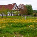 Bezirksinformationsfahrt Schwäbisches Bauernhofmuseum Illerbeuren