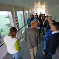 Auch für Fachleute eindrucksvoll: Das Großaquarium im Schwäbischen Fischereihof Salgen