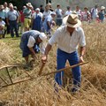Mit der Gaukel geht die Ernte leichter