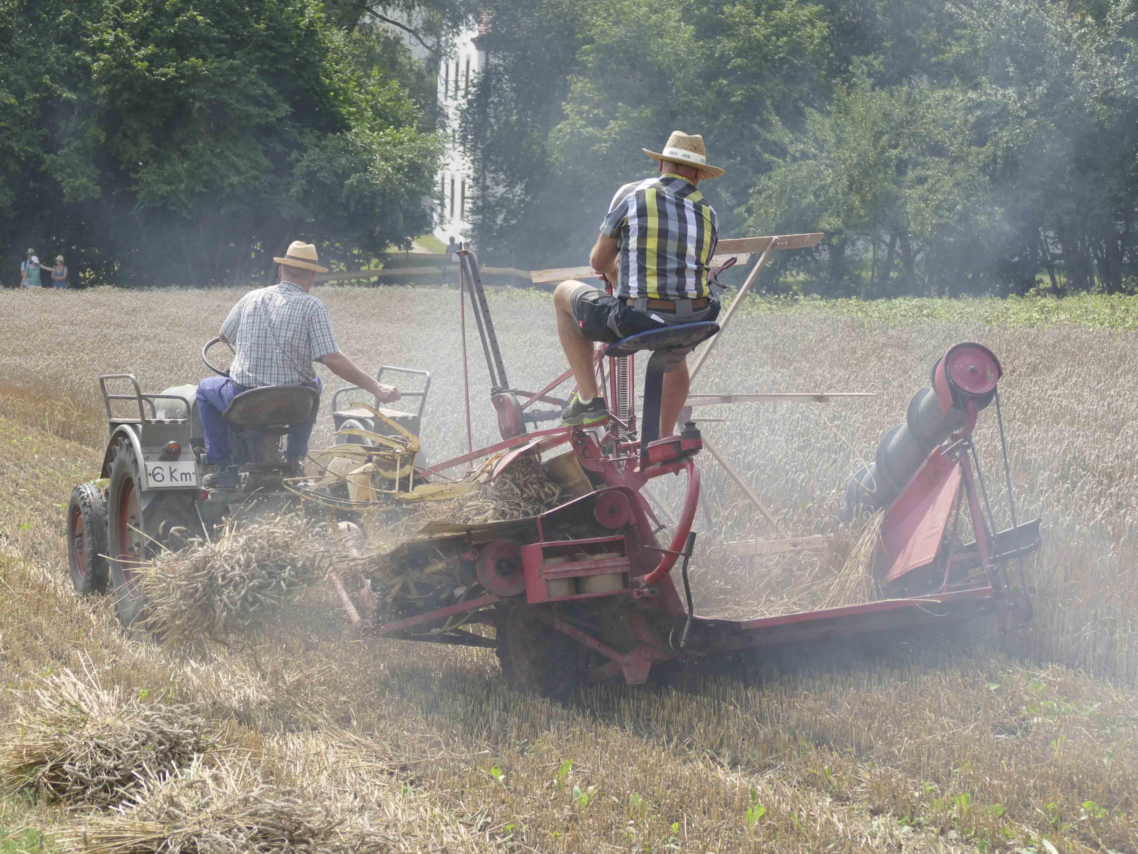 maschinelle Getreideernte-Foto Martin Beer