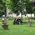 Im Rosengarten zeigten Patienten und Mitarbeiter gemeinsam die Performance „Standbilder“. Hier wird das Wort „Elend“ pantomimisch dargestellt.
