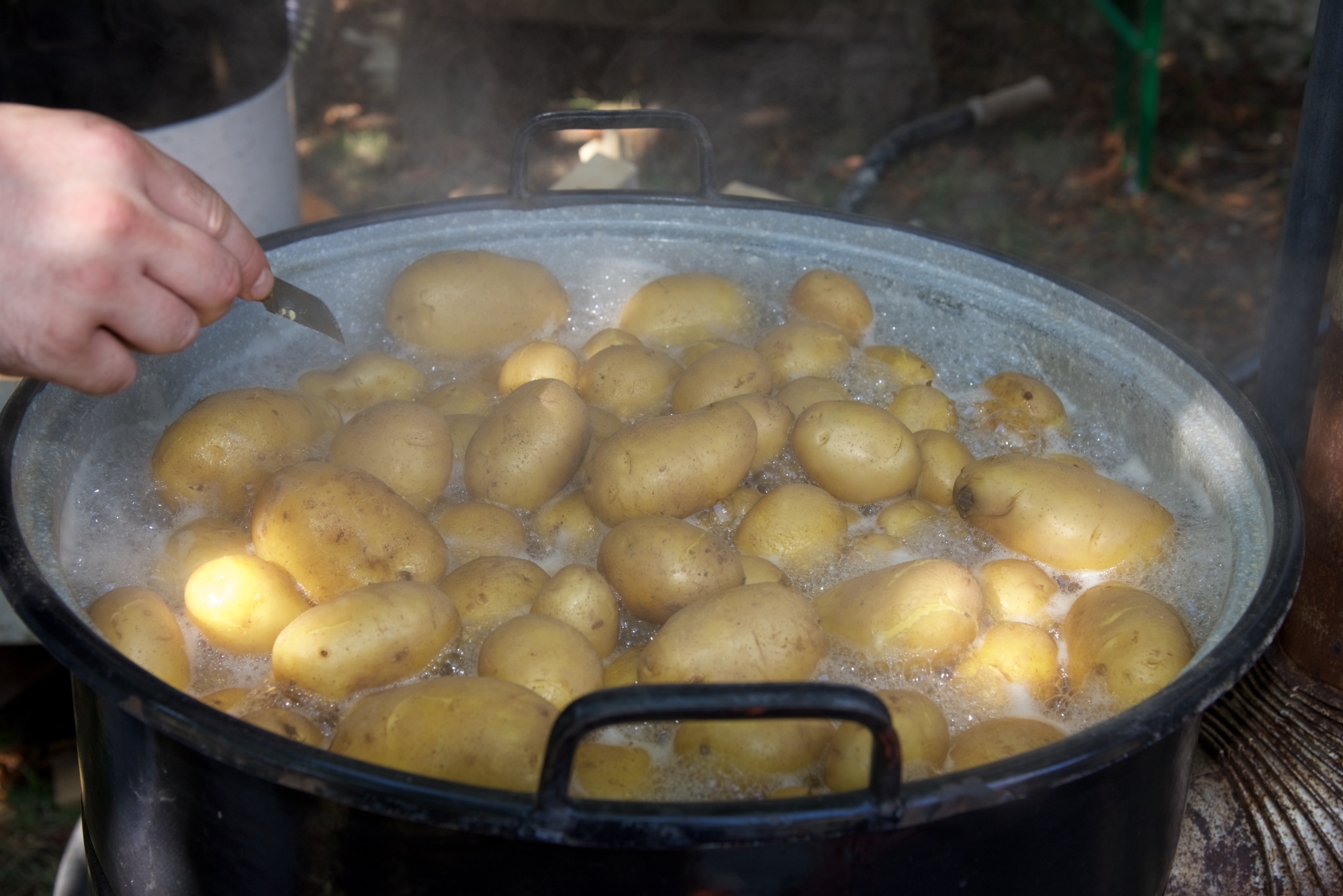 Kartoffeldämpfer (Foto Bruno Langner)