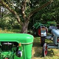 Eicher Diesel-Traktor Bj 1957