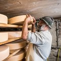 Tägliches Käseschmieren auf der Alpe Schattwald