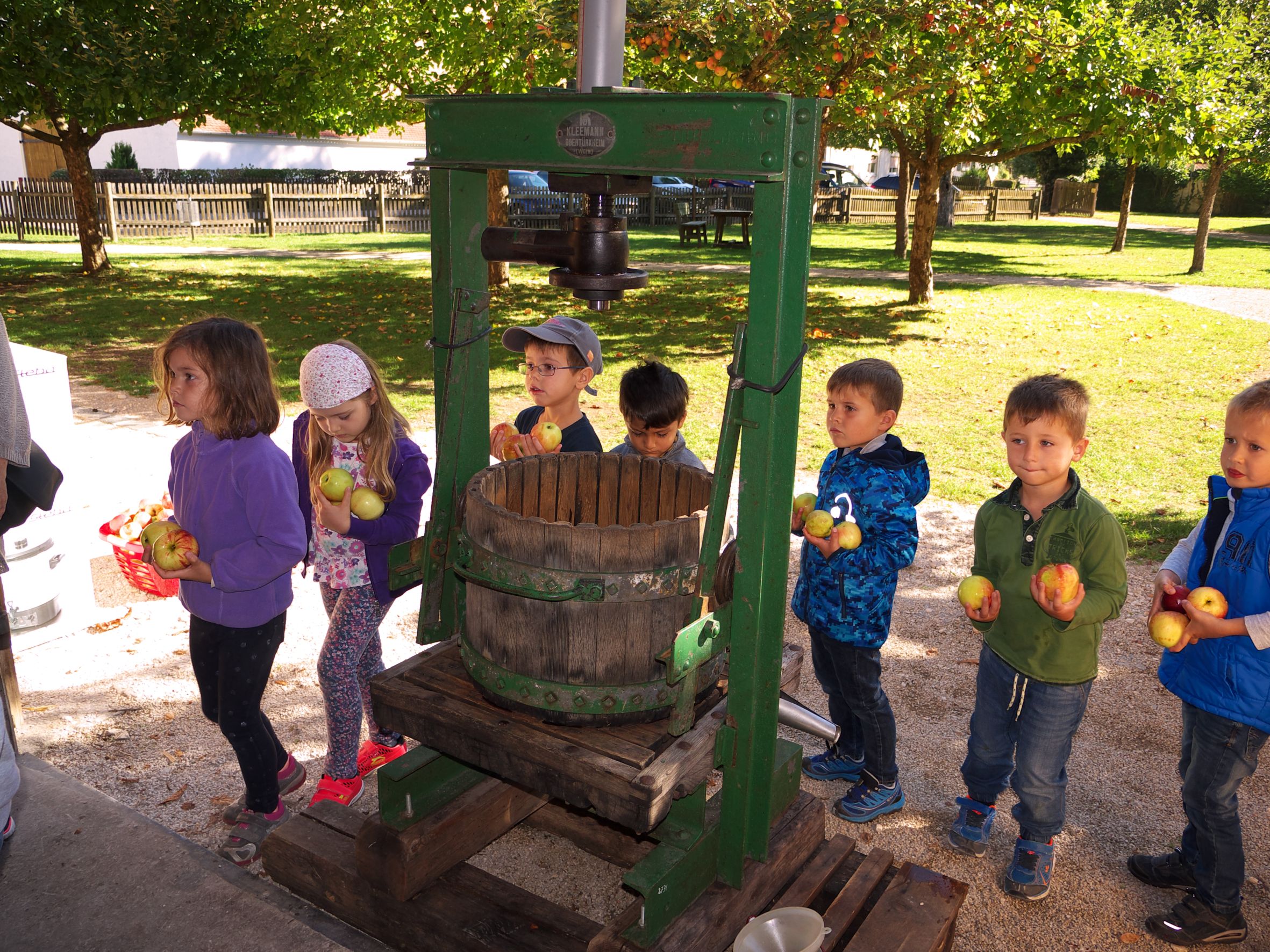 „Mosten“ für Kinder im Museum KulturLand Ries in Maihingen - So schmecken Äpfel am leckersten.