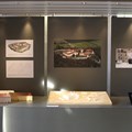 Das neu eingerichtete Modul "Objekt im Blickpunkt" im Besucherzentrum des Museums Oberschönenfeld.