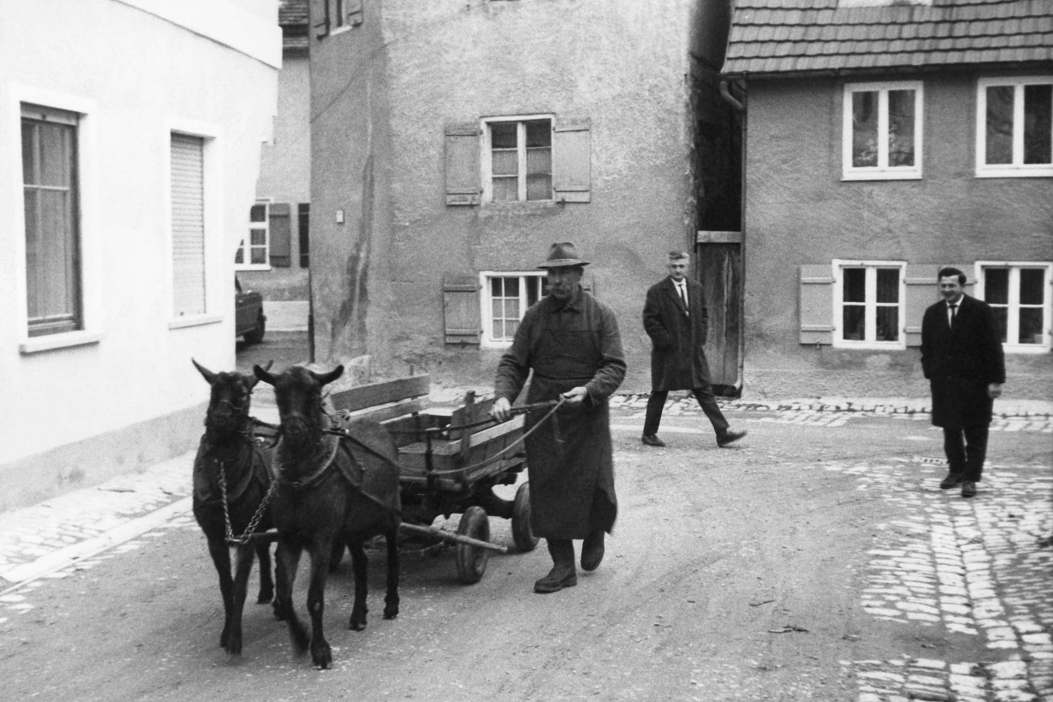 Die Kuh des kleinen Mannes: Noch in den 40er Jahren waren Ziegen als Nutztiere äußerst populär und wurden sogar als Lasttiere eingesetzt.