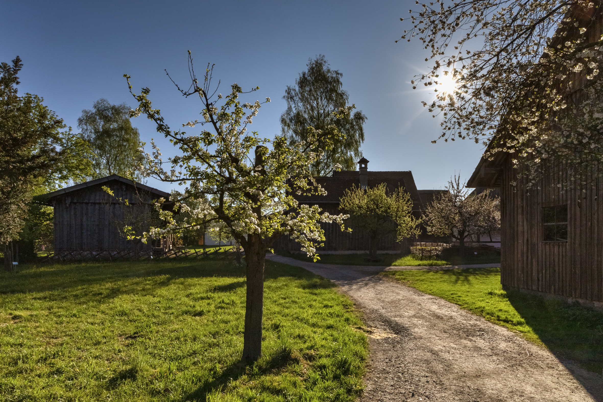 Obstbaumwiese im alten Museumsdorf