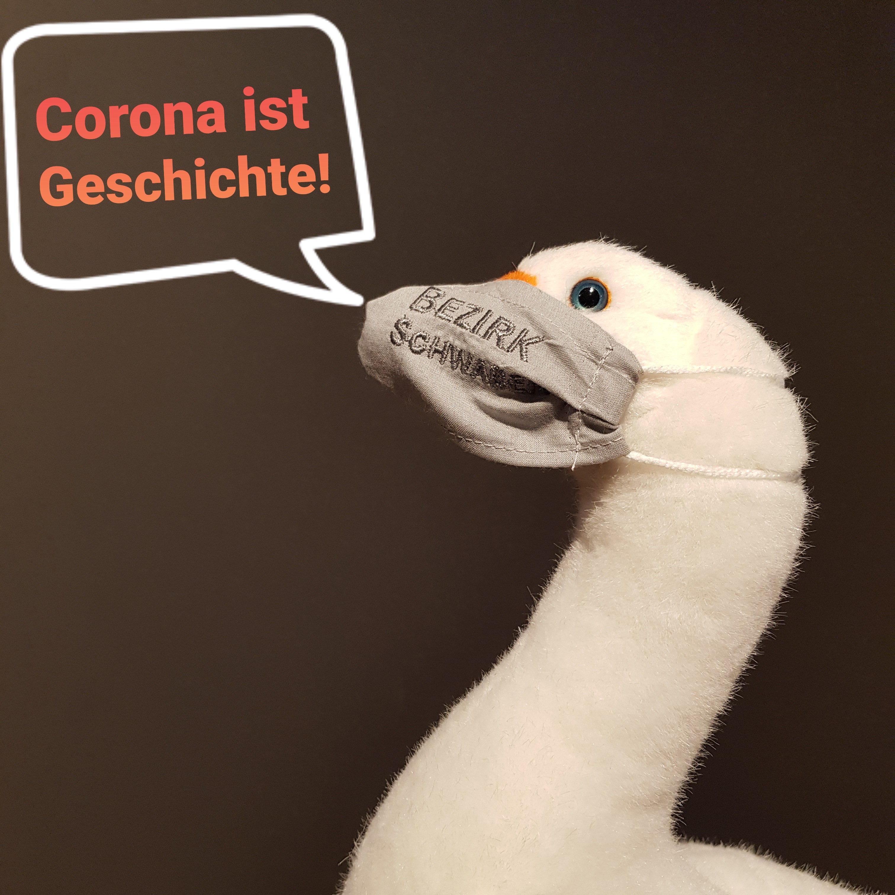 Corona ist Geschichte - Sammlungsaufruf des Museums KulturLandRies