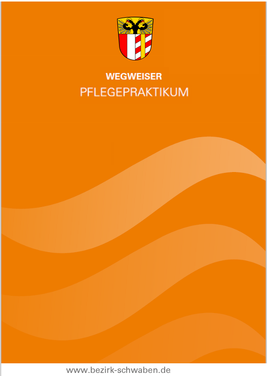 Broschüre Pflegepraktikum (PDF öffnet in neuem Fenster)