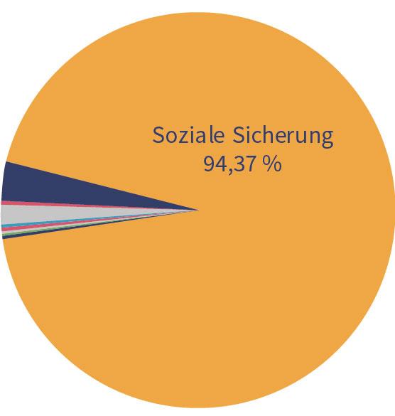 Tortendiagramm Haushalt 2021 Leider haben wir keinen Alternativtext zu diesem Bild, aber wir arbeiten daran.