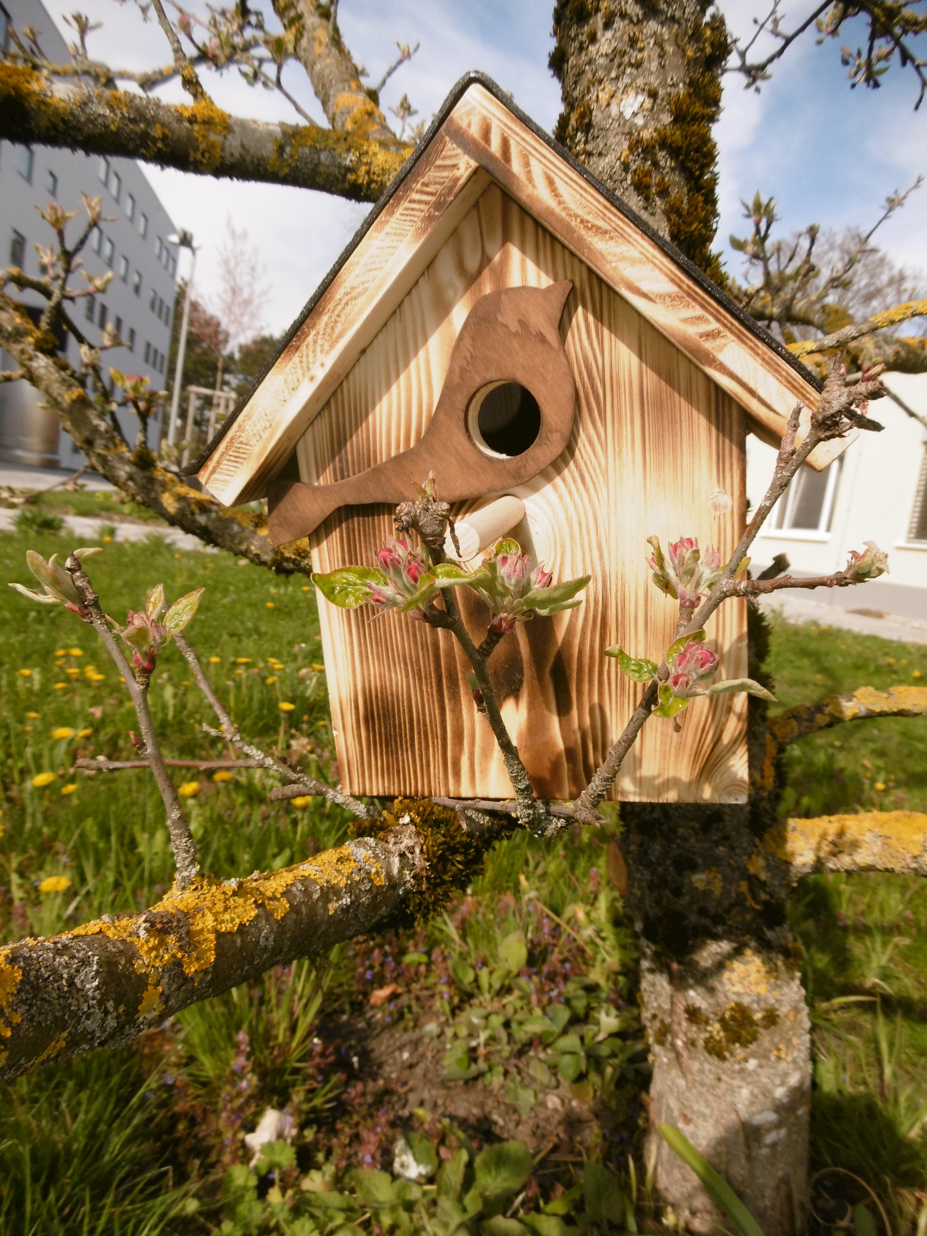 Forensik-Patienten stellen Häuschen  für tierische Parkbewohner her