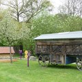 Bienengarten
