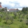 Streuobstwiese