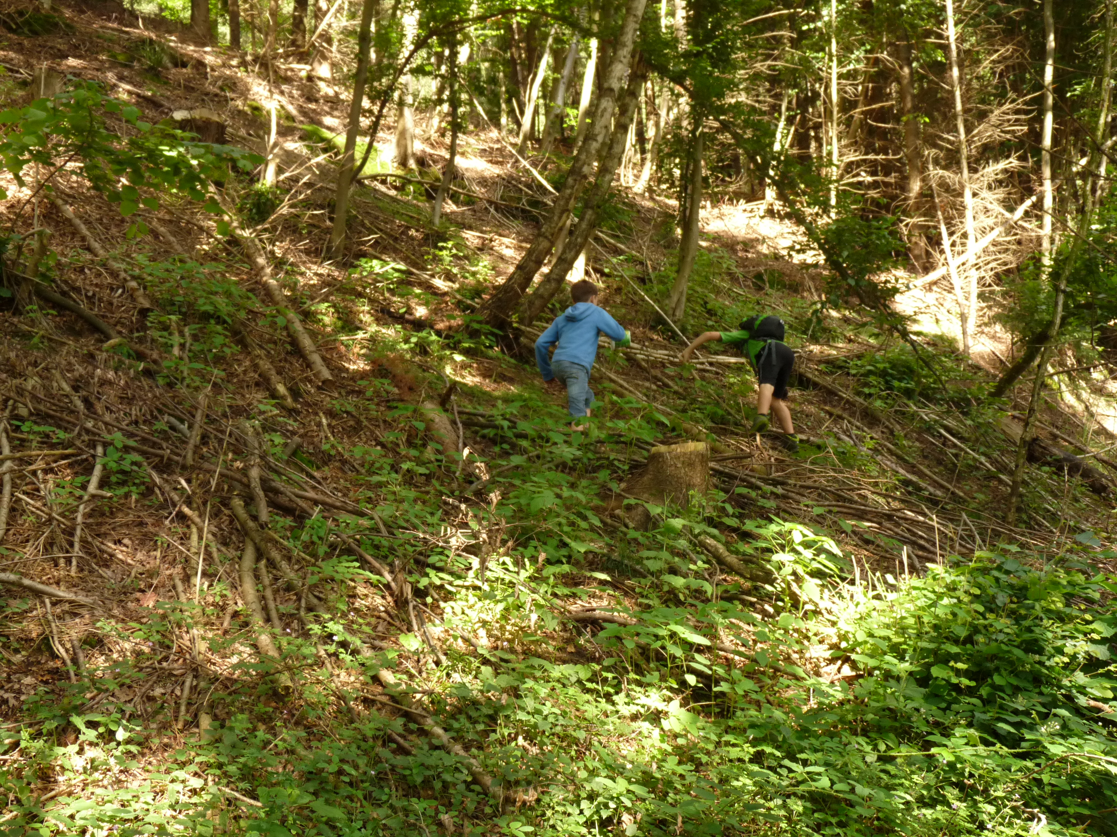 Abenteuer pur! Ein Tag voller Abenteuer im Wald für 6-12-jährige Mädchen und Jungs