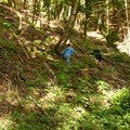 Kinderkurs Wald