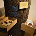 Holznutzungsbaum