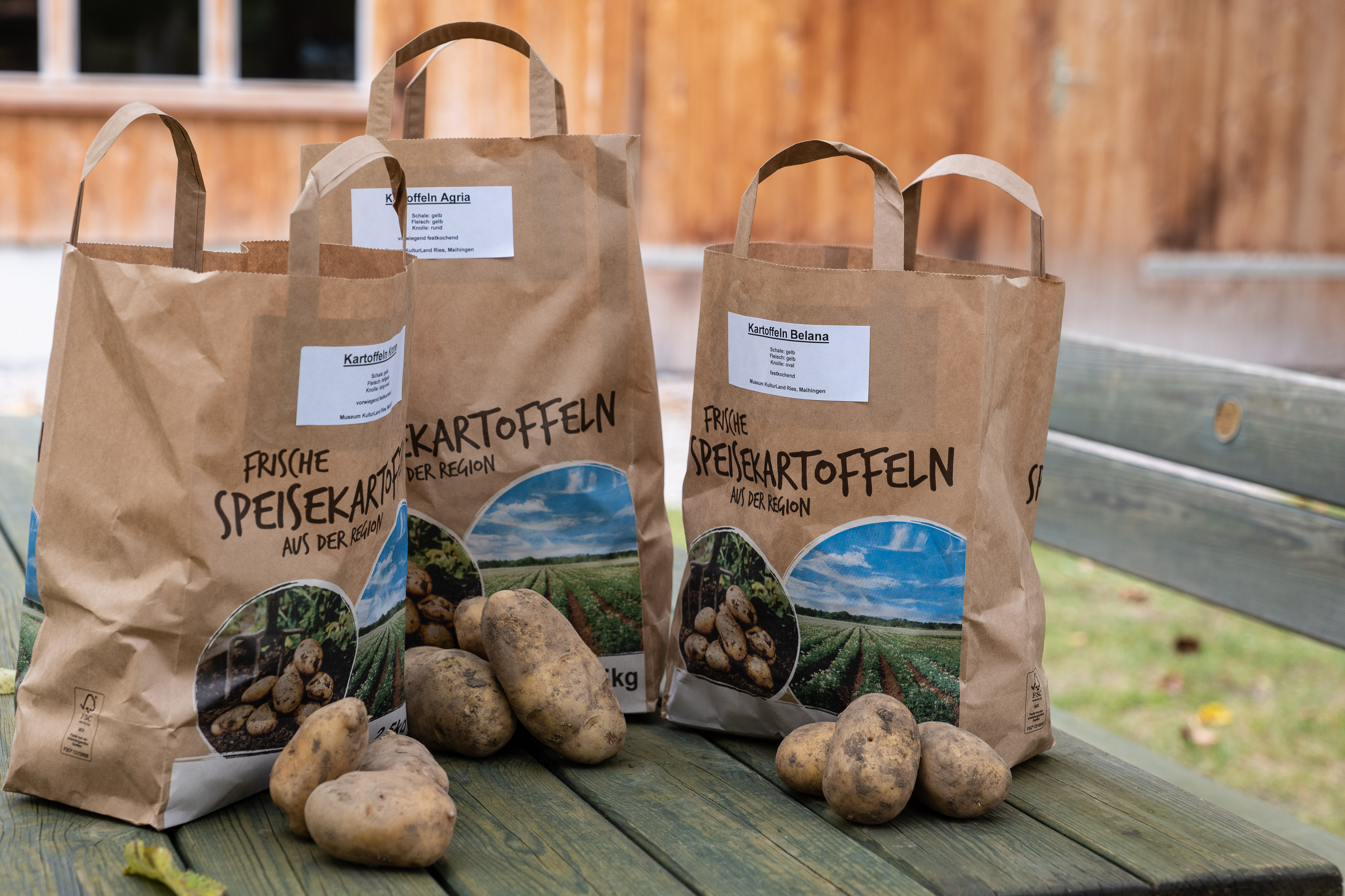 Üppige Kartoffelernte - Museum KulturLand Ries verkauft „Erdbira“ aus eigenem Anbau