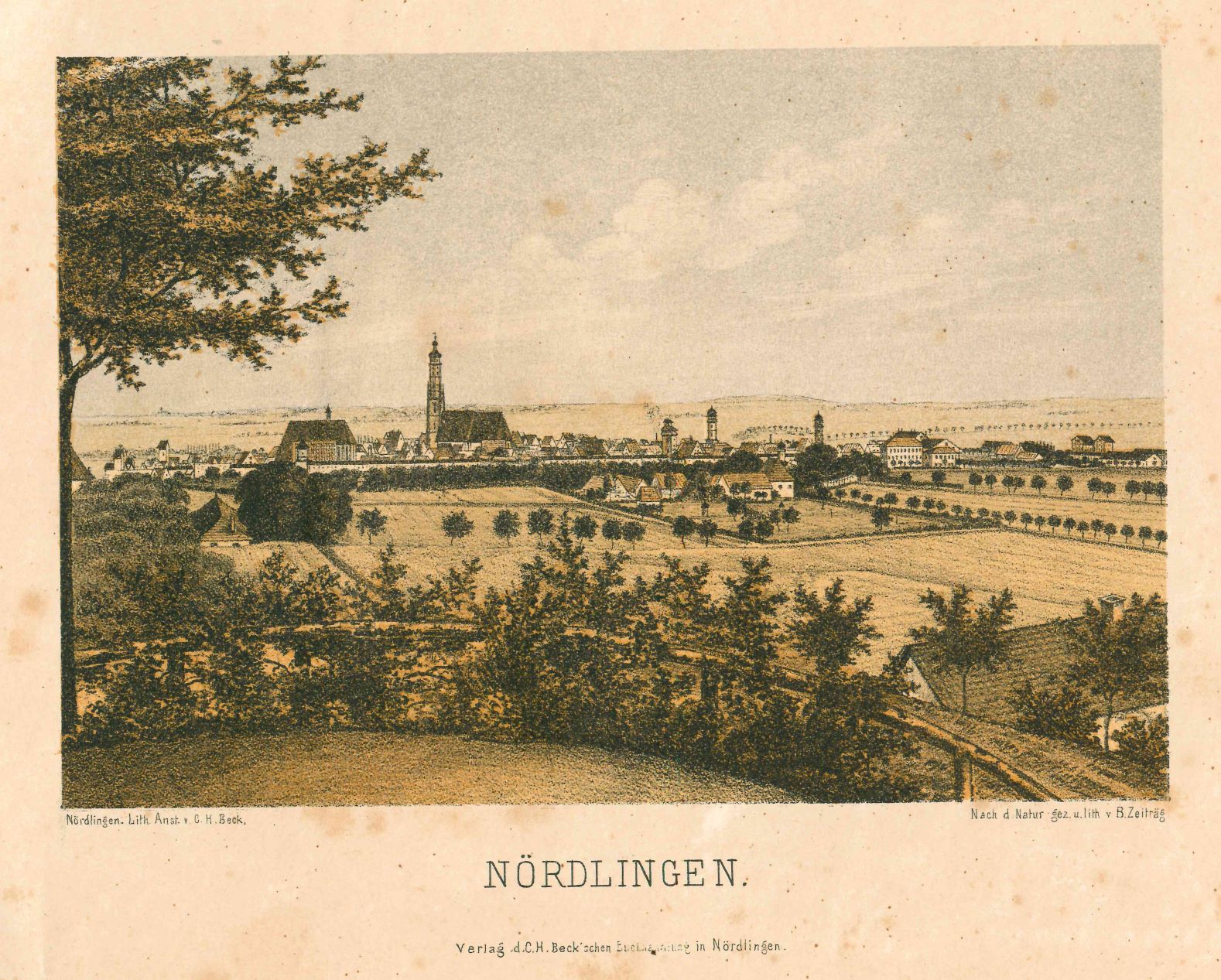 2021_Physikatsberichte_Nördlingen_Foto_Stadtarchiv_Nördlingen_.jpg