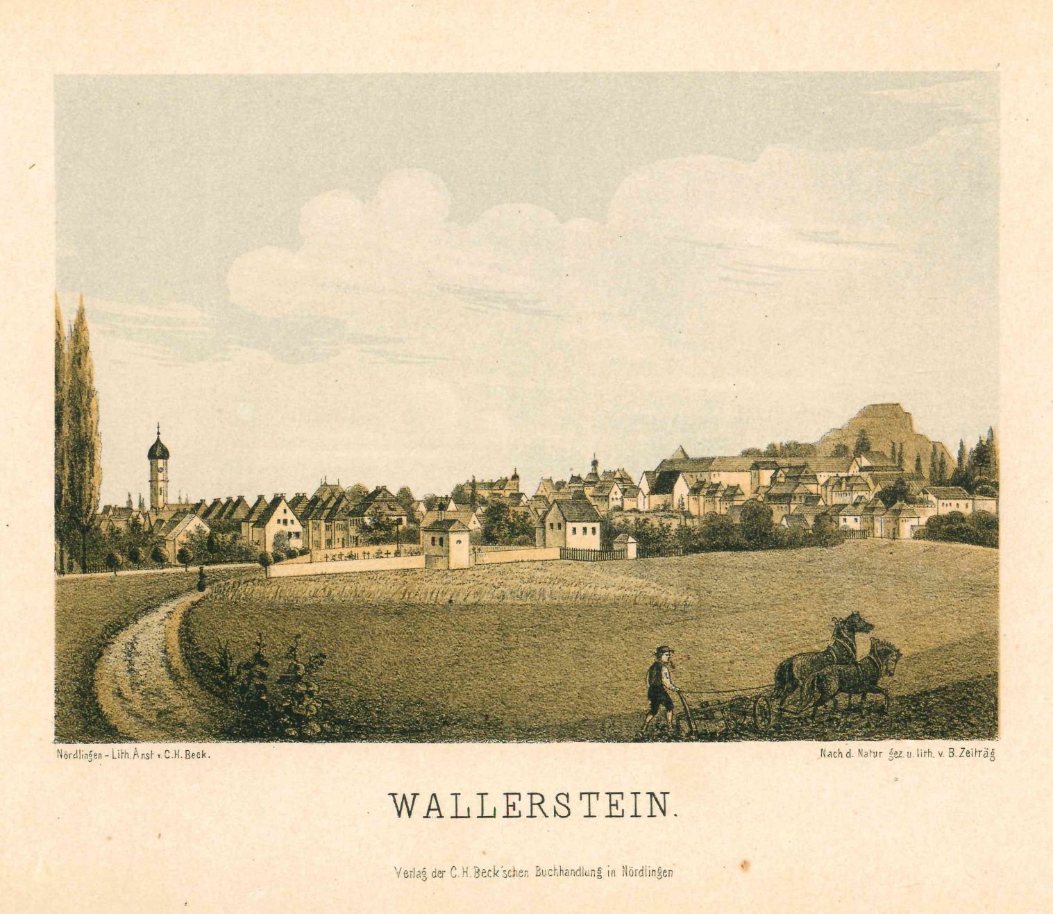 2021_Physikatsberichte_Wallerstein_Foto_Stadtarchiv_Nördlingen.jpg