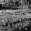 Drops of memory