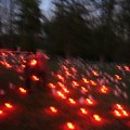 Lichter