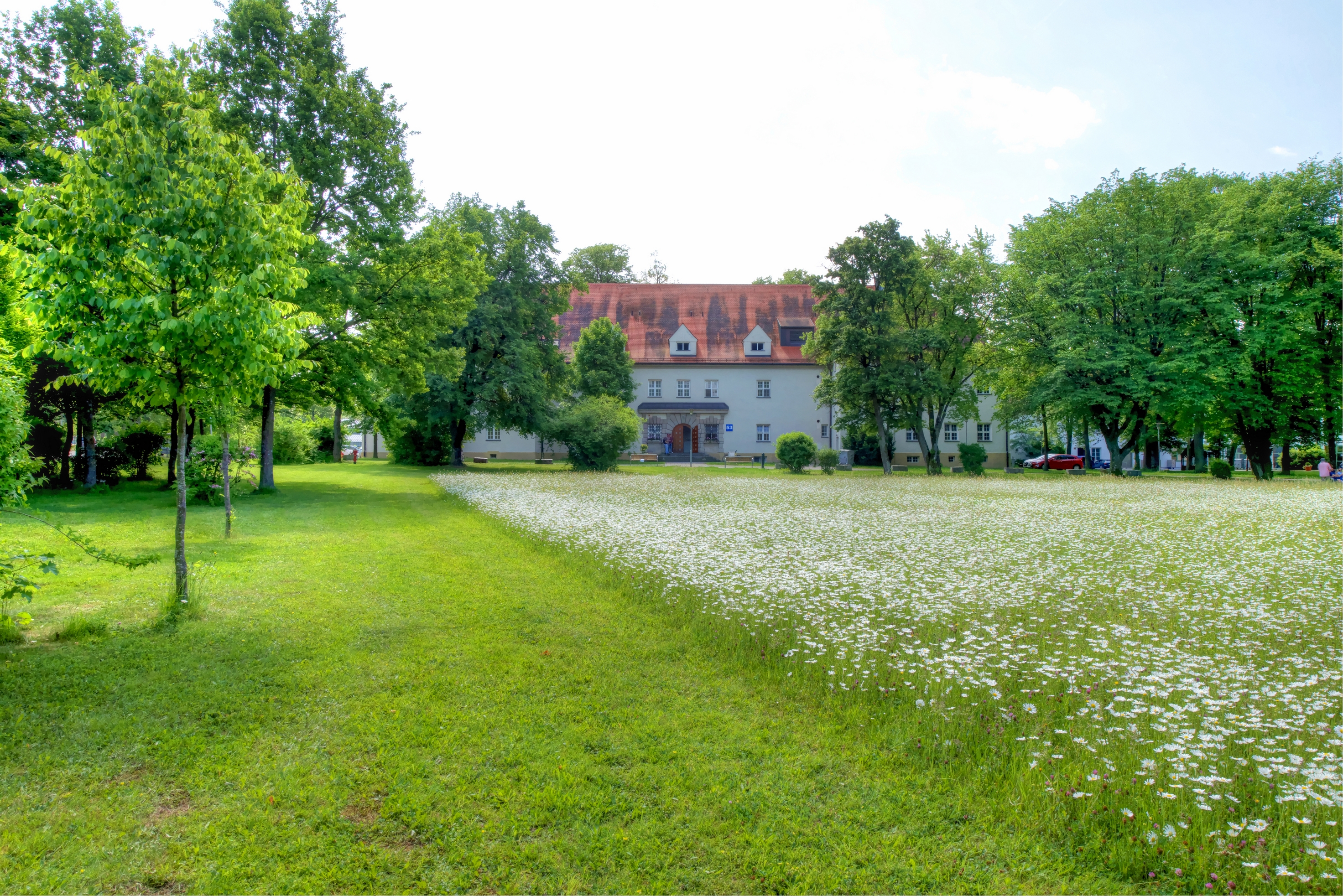 Das Bezirkskrankenhaus Günzburg hat die 2019 angelegten Blühwiesen auf dem parkähnlichen Klinikgelände erneut bepflanzt und auf 800 Quadratmeter erweitert.