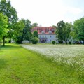 Blühwiesen BKH Günzburg