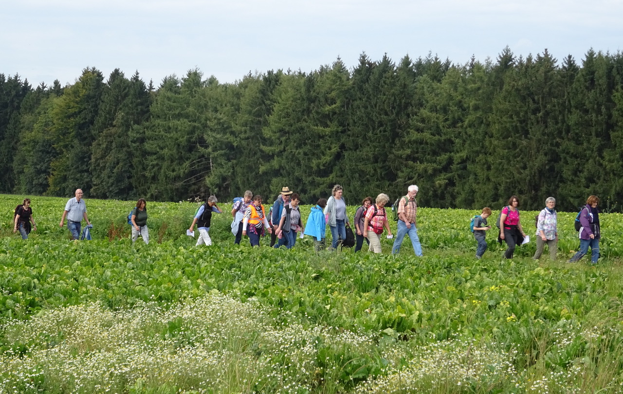 Offenes Singen: Feierabend-Wanderung